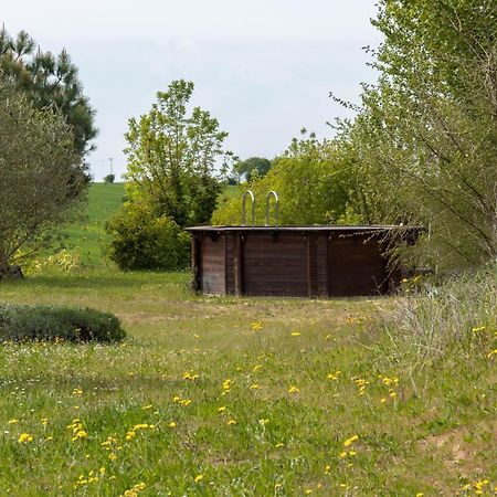 La Decouverte, Jacuzzi, Sauna, Et Terrasse Avec Vue Sur Lac A La Campagne Entre Toulouse Et Auch Βίλα Catonvielle Εξωτερικό φωτογραφία