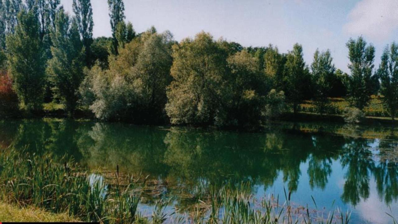 La Decouverte, Jacuzzi, Sauna, Et Terrasse Avec Vue Sur Lac A La Campagne Entre Toulouse Et Auch Βίλα Catonvielle Εξωτερικό φωτογραφία