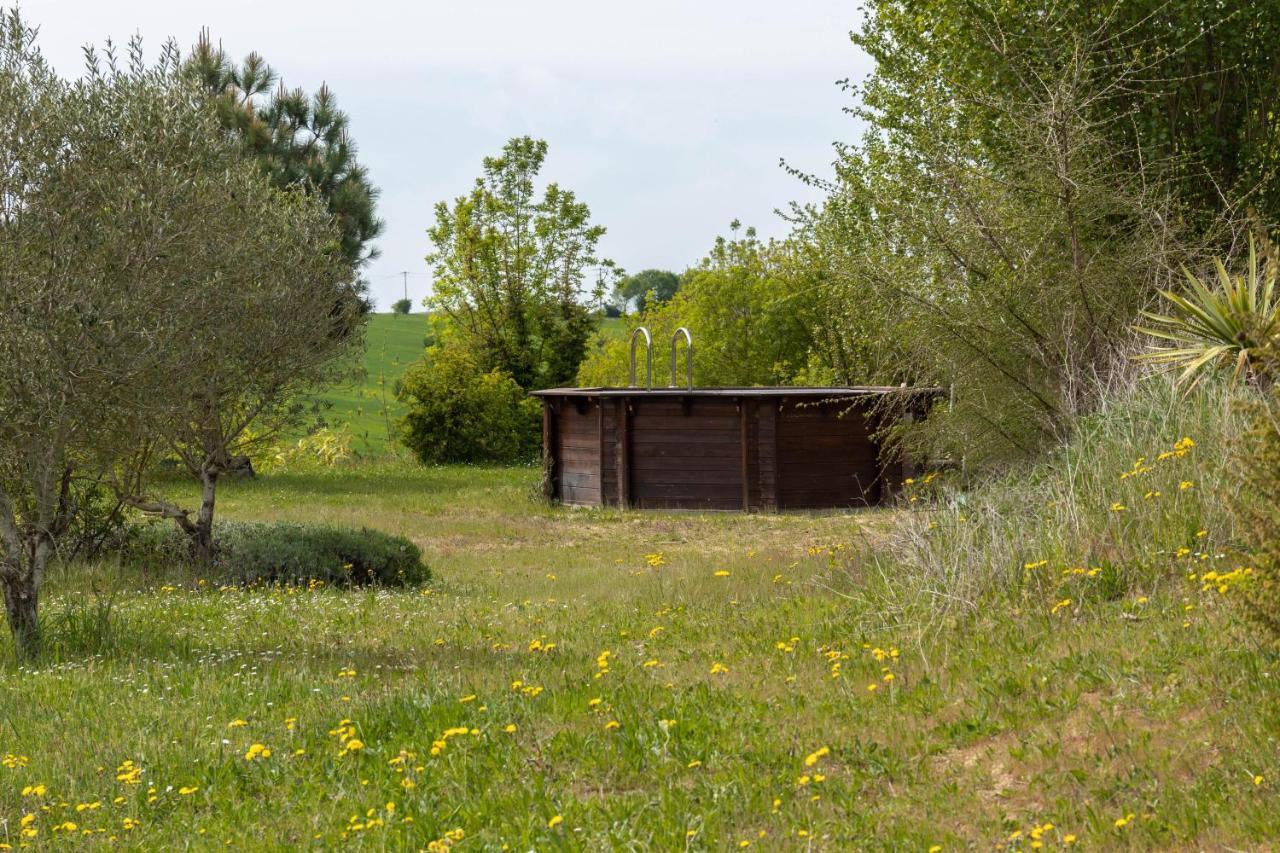 La Decouverte, Jacuzzi, Sauna, Et Terrasse Avec Vue Sur Lac A La Campagne Entre Toulouse Et Auch Βίλα Catonvielle Εξωτερικό φωτογραφία